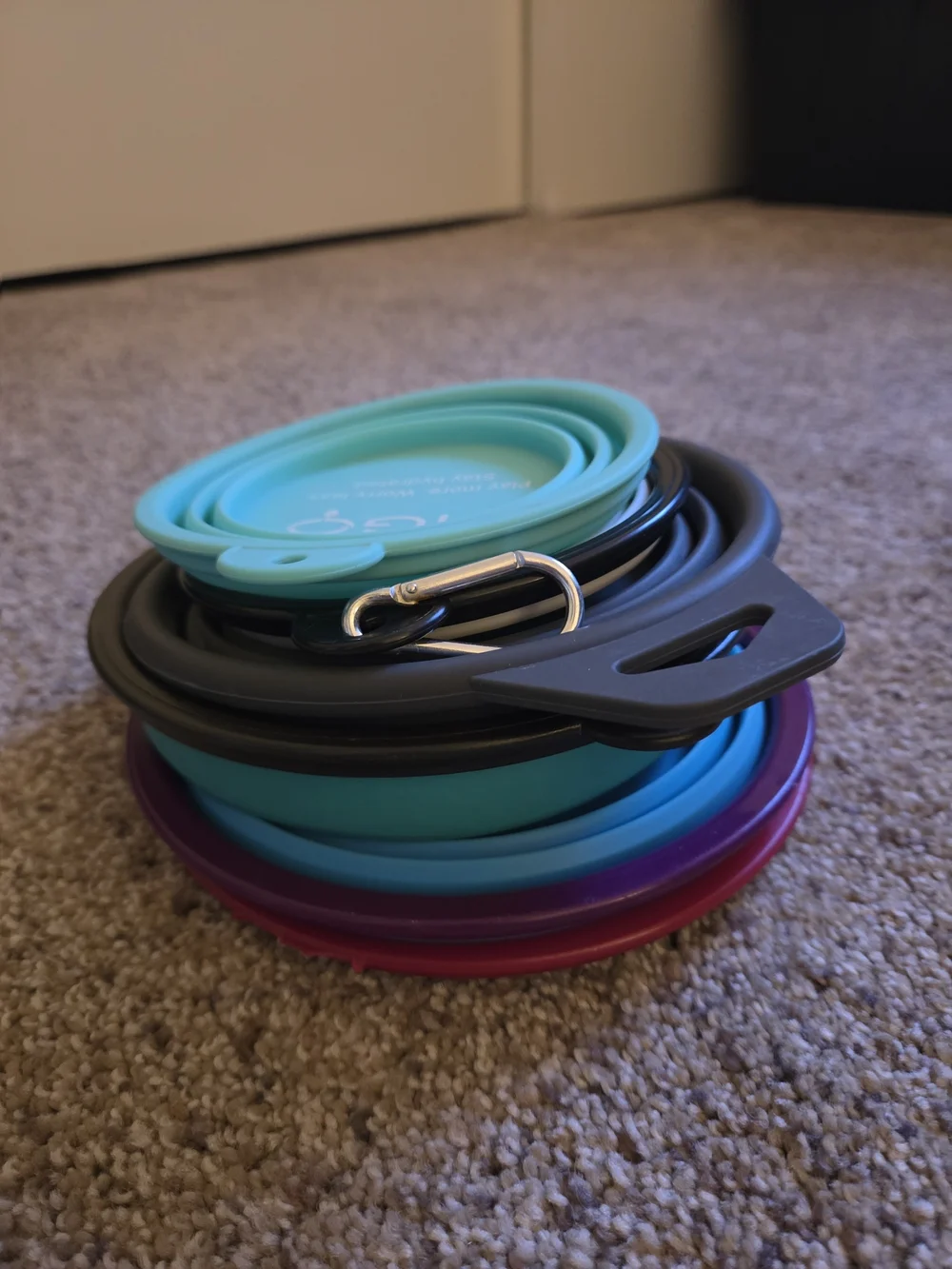 Collapsible Silicone Pet Bowls - Assorted Blue, Teal, Pink